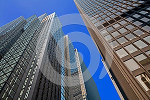 Looking Up at the Skyscrapers