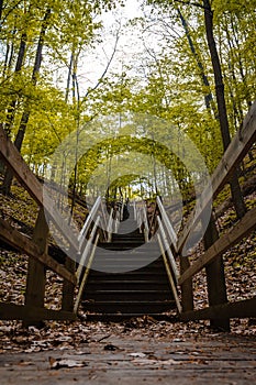 Looking up the stairs on a wooded trail in Pj Hoffmaster Park