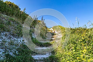 Looking up stone steps in the Sussex countryside, on a sunny summer\'s day