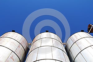 Looking up at three agricultural feed grain and corn silo buildings against a blue sky in rural heartland america perfect for
