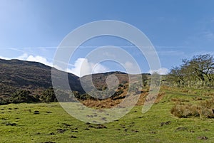 Looking up to Burley and Ilkley Moor and the Footpath that winds its way up the slopes next to the Drystone Wall