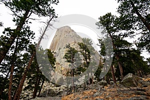 Looking Up To Devils Tower