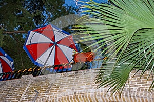 Looking up to an entertaining patio on top of brick wall at night with string lights and umbrellas and palm fronds