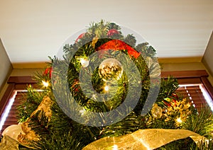 Looking Up to Peak of Christmas Tree