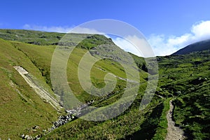 Looking up Tongue Gill