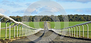 Looking up the training gallops on Newmarket Heath, Suffolk, UK