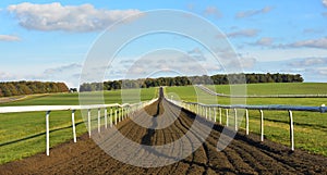 Looking up the training gallops - Newmarket Heath, Suffolk, UK