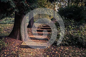 Looking up at well worn caved stone steps in public park leading upwards through big trees and bushes