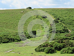 looking uphill at a rustic country wallk on Darmmor Devon UK