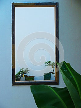 Looking through the window