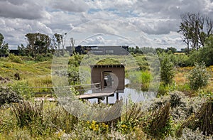 Lookout cabin at pond in Zwin Nature Reserve, Knokke-Heist, Belgium