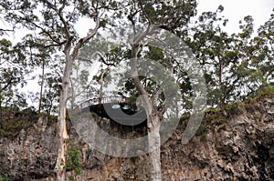 Lookout over Sunken Forest