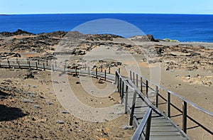 Lookout Steps