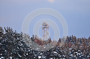 The lookout tower above the snow covered pine forest