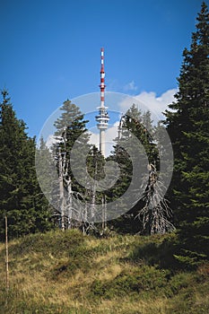 Lookout tower on the hill