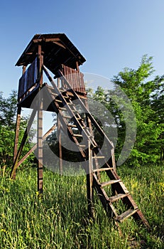 Lookout tower for hunters photo