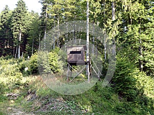 Lookout tower for hunting,