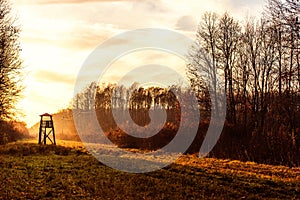 Lookout tower for hunting at dawn photo