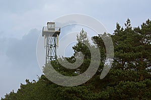 Lookout tower over spruce trees in the forest