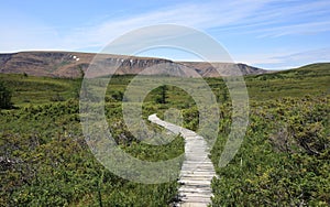 The Lookout Trail with Tablelands