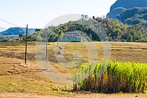 Lookout in the Vinales valley in Cuba in Cuba