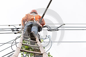 Lookup view of cable repair technician are to fix the lines of network cable