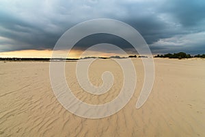 Loonse en Drunense Duinen