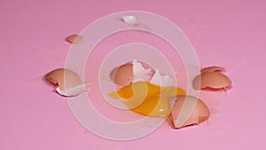 Loop HD video of the chicken egg falling and braking on pink background. 4k resolution slow-motion video of egg that