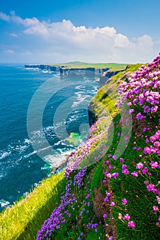 Loop head cliffs, Co. Clare, Ireland