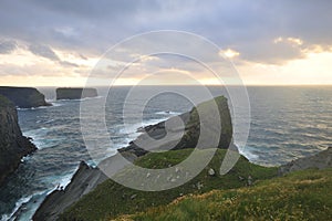 Loop Head Drive