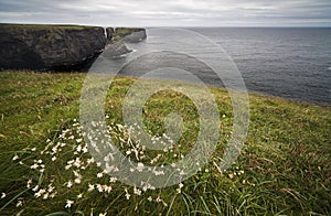 Loop Head Drive