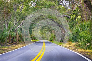 The Loop, Ormond Beach, Florida photo