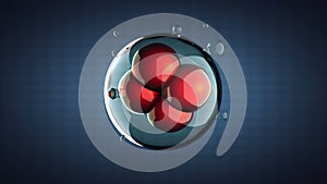 Loop rotate cell division illustration