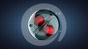 Loop rotate cell division illustration