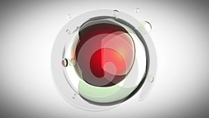 Loop rotate cell division illustration