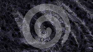 Looped leather background snake or crocodile skin