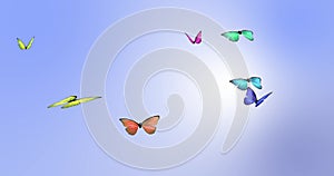 Looping Butterfly Animation. Colorful Butterflies flying with a blue sky background. Loop-ready file.