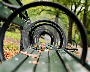 Through the loops of park bench