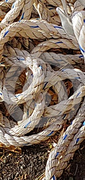 Loopy rope in a pile