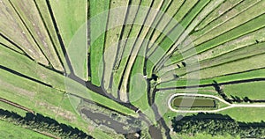 Loosdrecht recreational water river and meadow rural grass land green marsh in beautifull pattern small rivers and