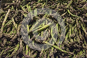 Loose asparagus stalks