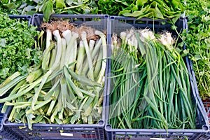 Loose Leeks and Spring Onions at Fruit and Vegetable Market