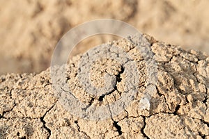 Loose sand beige in desert.