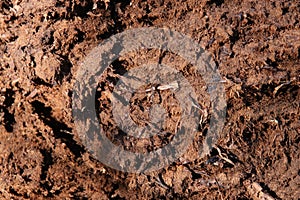 Loose soil texture. Dirt backdrop.