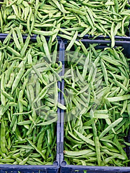 Loose String Beans at Fruit and Vegetable Market