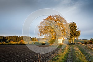 Loosened field, trees, small white house and forest in the background