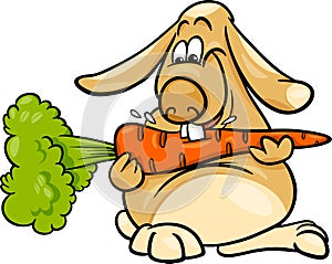 Lop rabbit with carrot cartoon