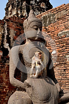 Lopburi, Thailand: Monkey at Wat San Yot
