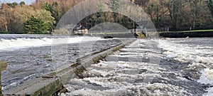 Lopwell Dam , Maristow Estate and The River Tavy Devon uk photo