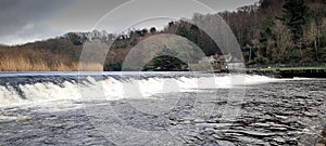 Lopwell Dam , Maristow Estate and The River Tavy Devon uk photo